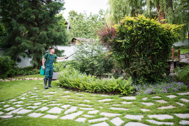 Best Pest Control for Homes  in West Hills, PA