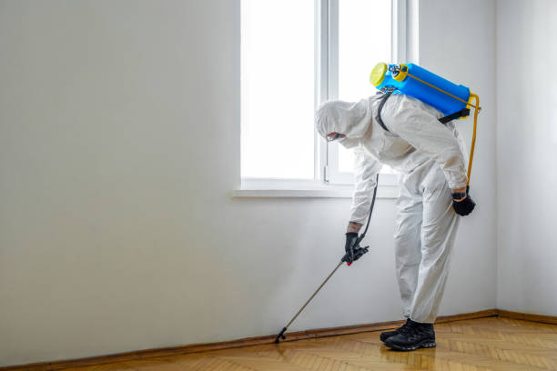 Best Emergency Pest Control  in West Hills, PA