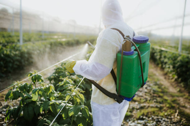 Best Flea Control Services  in West Hills, PA